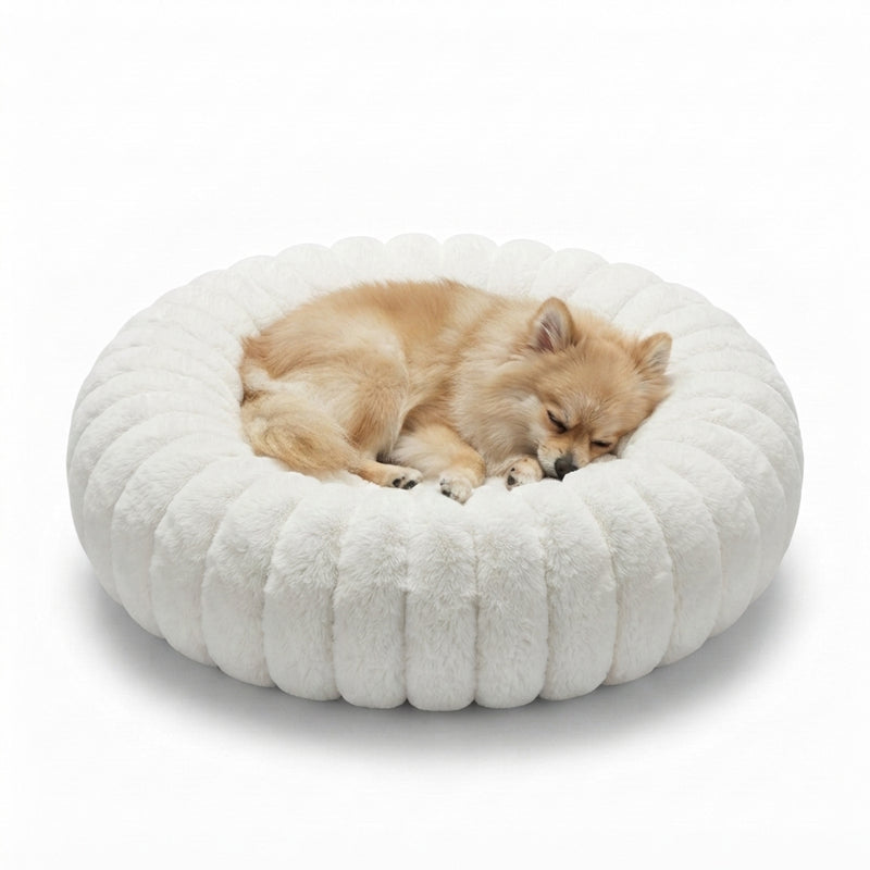 Chien installe dans le lit cocon NUZZO Blanc (40 cm)