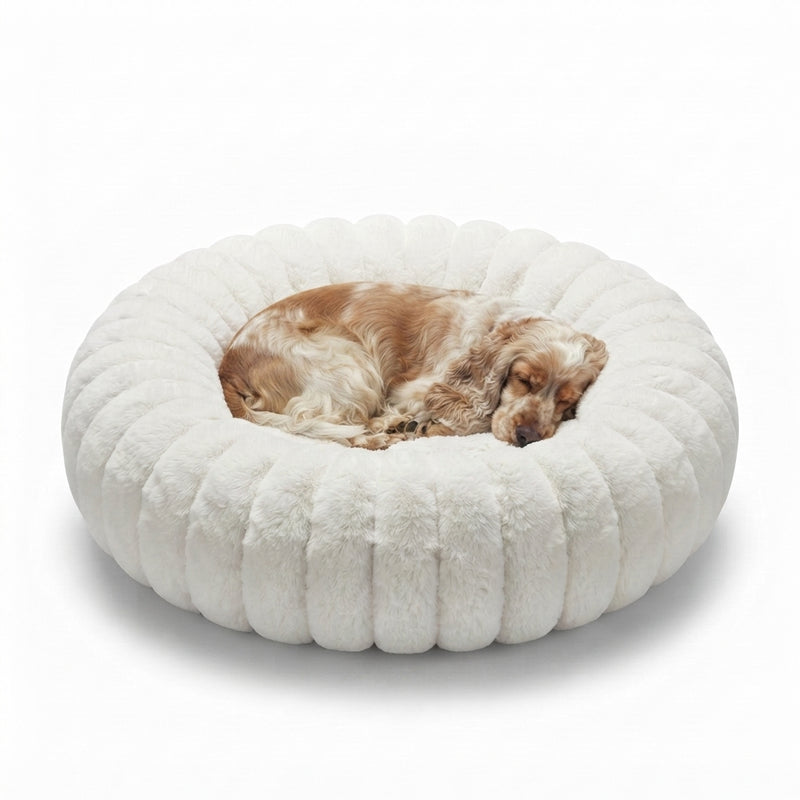 Chien installe dans le lit cocon NUZZO Blanc (70 cm)